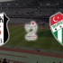 Beşiktaş-Bursaspor Beşiktaş-Bursaspor
