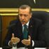 Erdoğan'dan Alman Bakan Gabriel'e yanıt Erdoğan'dan Alman Bakan Gabriel'e yanıt