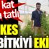 ﻿Herkes 300 kat daha tatlı bu bitkiyi ekiyor