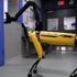 Boston Dynamics’in robotu kapıyı açıyor, arkadaşı için onu tutuyor
