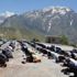 Şükür kurbanının kesildiği Hakkari de cuma namazı Şükür kurbanının kesildiği Hakkari de cuma namazı