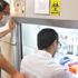 İlk mRNA aşısı yazın kullanılacak İlk mRNA aşısı yazın kullanılacak