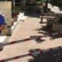 Kafasına beton parçası düşen veteriner hekim ağır yaralandı Kafasına beton parçası düşen veteriner hekim ağır yaralandı