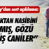 Antalyaspor'da puan kaybı üzüntüsü