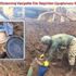 Lice'de 3 ton 50 kilo esrar ele geçirildi Lice'de 3 ton 50 kilo esrar ele geçirildi