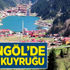 Uzungöl'de barış kuyruğu tartışma çıkardı