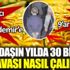 ﻿Vatandaşın yılda 30 bin ton baklavası nasıl çalınıyor