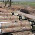 Rusya'nın yurt dışındaki en büyük üssünde S-300'lü tatbikat