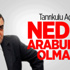 Tanrıkulu Neden Arabulucu Olmadığını Açıkladı