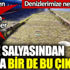 Denizlerimize neler oluyor... Her yerden bir bir korkutan görüntüler geliyor. Deniz salyasından sonra bir de bu çıktı Denizlerimize neler oluyor... Her yerden bir bir korkutan görüntüler geliyor. Deniz salyasından sonra bir de bu çıktı
