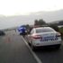 Akrep kavanozda 37 yavru dünyaya getirdi Akrep kavanozda 37 yavru dünyaya getirdi