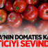 Rusya'nın domates kararı üreticiyi ve ihracatçıyı sevindirdi
