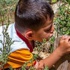 "Dua Okudukça Babam Bal Yiyor" "Dua Okudukça Babam Bal Yiyor"