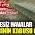 ﻿Dengesiz havalar çiftçinin kabusu oldu