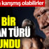 Yeni bir insan türü bulundu. Aramıza karışmış olabilirler Yeni bir insan türü bulundu. Aramıza karışmış olabilirler