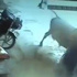 İnek genç kızın öldürülmesine seyirci kalamadı