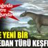 Çin'de 4 fil ağırlığında ve 7 metre uzunluğunda yeni bir gergedan türü keşfedildi Çin'de 4 fil ağırlığında ve 7 metre uzunluğunda yeni bir gergedan türü keşfedildi