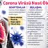 Corona virüsü nedir? Çin’den yayılan korona virüsü hangi ülkelerde görüldü?