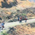 Terörden kaçış Terörden kaçış