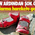 'Selam Bahara Yolculuk' farklı kültürlerden tam not aldı