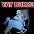 2019'da Yay burcunu neler bekliyor?