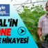 Şehirde doğup büyüyen adam, "Genç Çiftçi" projesiyle köyüne döndü