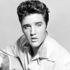Elvis Presley hayranları için özel dolma kalem
