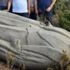 Antalya'da çalılık alanda Atatürk heykeli bulundu