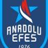 Anadolu Efes'in virüs testi belli oldu