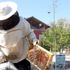 3 kovan ile işe başladı! Şimdi tam 1.5 ton bal üretiyor