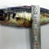 16 cm'lik balığı yutan kadın hayatını kaybetti