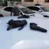 Şanlıurfa'da durdurulan otomobilde 18 tabanca ele geçirildi Şanlıurfa'da durdurulan otomobilde 18 tabanca ele geçirildi