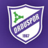 Teknik direktör değişiklikleri Orduspor'a yaramadı
