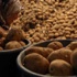 Patates krizinde rahatlatan açıklama Patates krizinde rahatlatan açıklama