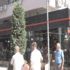 Şehri arılar bastı