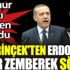 ﻿Şi Perinçek'ten Erdoğan'a zehir zemberek sözler