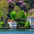 İstanbul Boğazı'nda erguvanlar açtı