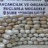Polisin aracından çıkanlar şoke etti! Polisin aracından çıkanlar şoke etti!