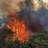 Son dakika: Rize'de 2 ayrı bölgede orman yangını