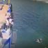 İzmit Marina'da suya atlayan kadın kurtarıldı!