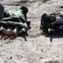 Pakistan'da Taliban'a y�nelik operasyonlarda 7 militan �ld�r�ld� Pakistan'da Taliban'a y�nelik operasyonlarda 7 militan �ld�r�ld�