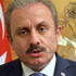Mustafa Şentop: Terör örgütleriyle ilişki içinde olan parti kapatılır