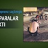 Aprondaki paralar Merkez'inmiş