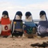 Avustralya'nın en yaşlı adamı penguenlere kazak örüyor