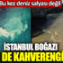 Son dakika: İstanbul Boğazı şimdi de kahverengi oldu! Bu kez müsilaj (deniz salyası) değil
