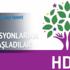 HDP'li vekilden olay tweet