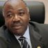 Gabon’da kevazingo skandalı patladı Gabon’da kevazingo skandalı patladı