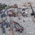 Afganistan da 30 Taliban militanı öldürüldü