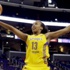 WNBA'den Türkiye'ye transfer