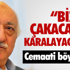 Profesörden "Okaliptuslar kesilsin" önerisi